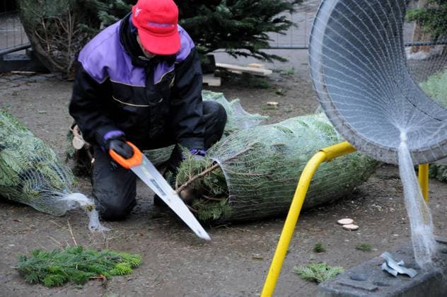 Copenhagen Denmark 22 December 2022 Christms trees for sale at christmas tree vendor in danish capital Copenhagen. (Photo. Francis Joseph Dean Dean Pictures)