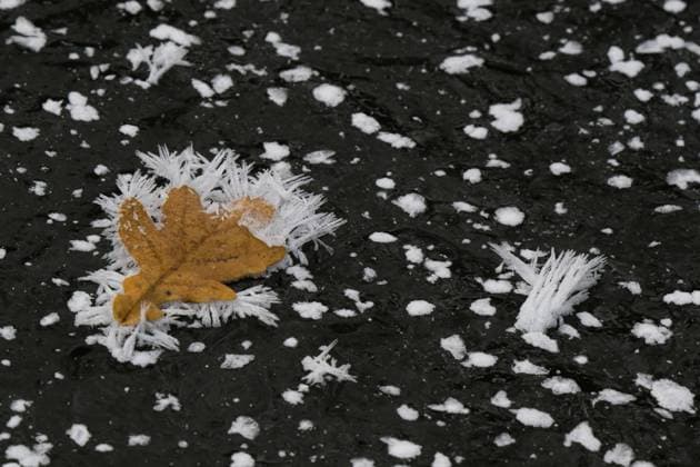  Mit Eiskristallen besetztes Eichenblatt auf gefrorener Wasserfläche, Hessen, Deutschland, Europa *** with Ice crystals occupied Oak leaf at Frozen water surface, Hesse, Germany, Europe Copyright: imageBROKER/WilfriedxMartin ibxwma08897326.jpg