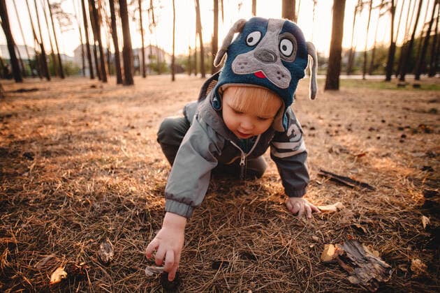 Creative Highlights Symbolbilder Baby boy exploring pine forest during autumn CR_DMBE200528-290972-01 ,model released, Symbolfoto