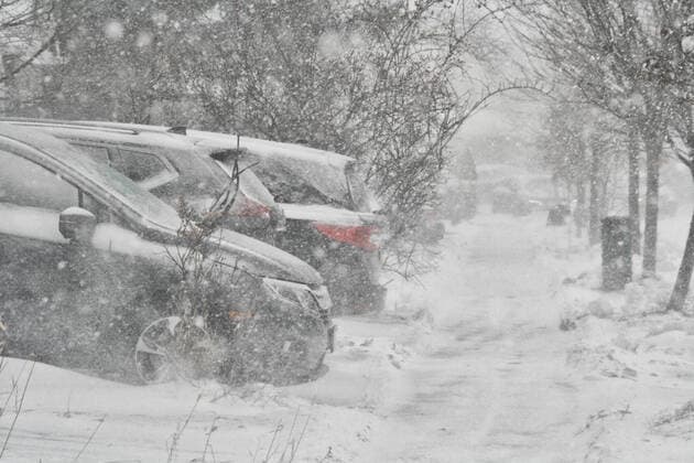 Treacherous Winter Snowstorm Hits Toronto Strong winds blow the snow as a treacherous winter storm hits Toronto, Ontario, Canada, on December 23, 2022. Environment Canada says that Toronto will receive 5 to 15 centimetres of total snowfall accumulation between Friday and Saturday morning. It is also warning of potential flash freeze conditions as temperatures plummet on Friday morning. Winds that are expected to gust up to 90-120 kilometres an hour on Saturday that could lead to crippling blizzard conditions. Toronto Ontario Canada  Copyright: xCreativexTouchxImagingxLtdx originalFilename: friedman-treacher221223_npqiB.jpg