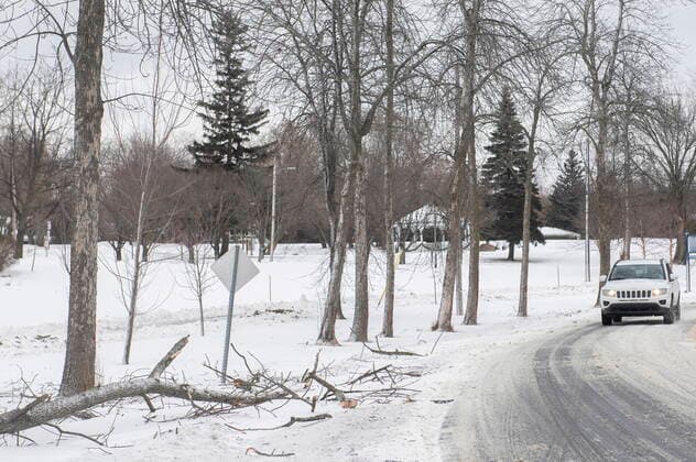 December 24, 2022, Montreal, PQ, Canada: A fallen tree is shown next to a road in Montreal, Saturday, Dec. 24, 2022, following a winter storm in the region. Montreal Canada  - ZUMAc35_ 20221224_zaf_c35_019 Copyright: xGrahamxHughesx