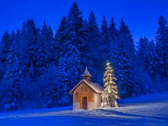 Beleuchteter Christbaum vor einer Kapelle im Winter, Bayern, Oberbayern, Deutschland, Europa Beleuchteter Weihnachtsbaum mit Kapelle bei Nacht, Winterlandschaft, Bayern, Deutschland *** Illuminated Christmas tree in front of a chapel in winter, Bavaria, Upper Bavaria, Germany, Europe Illuminated Christmas tree with chapel at night, winter landscape, Bavaria, Germany