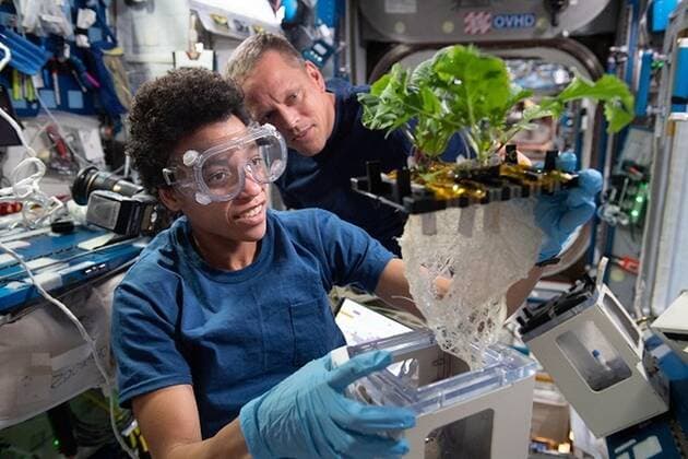 Bilder von der Internationalen Raumstation ISS **VIDEO AVAILABLE: CONTACT INFO@COVERMG.COM TO RECEIVE** This image shows: NASA astronauts Jessica Watkins and Bob Hines work on XROOTS, which uses the space station?s Veggie facility to test hydroponic and aeroponic techniques to grow plants rather than using traditional soil. These techniques could enable large-scale crop production for future space exploration. NASA have released some of the best scientific images taken on the International Space Station in 2022, as it continues its scientific journey orbiting over 200 miles above the Earth?s surface. Spacecraft carried crew from around the world to and from the space station, where they participated in and supported hundreds of scientific investigations and technology demonstratio Copyright: xx 52310397 EDITORIAL USE ONLY. NOT FOR USE BY NEWSPAPERS BASED IN THE UK.