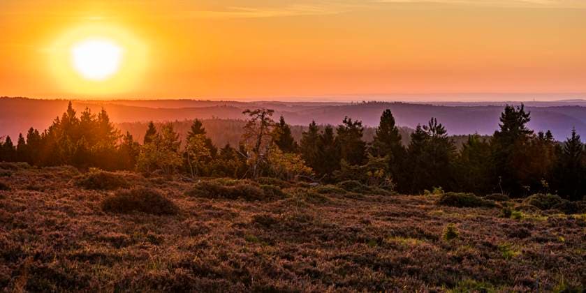 Germany, Baden-Wurttemberg, Landscape of Black Forest National Park at sunrise, Baden-Württemberg WDF07196
