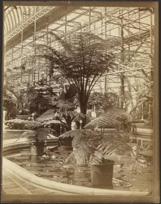 RECORD DATE NOT STATED Crystal Palace, Ferns and Water Lilies, Tropical Fountain Basin. Philip H. Delamotte (British, 1820 - 1889) Copyright: xpiemagsx gb70443 !ACHTUNG AUFNAHMEDATUM GESCHÄTZT!