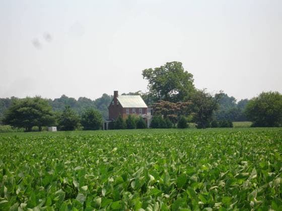 IMAGO ICONS: Harriet Tubman RECORD DATE NOT STATED Harriet Tubman Underground Railroad Byway - Leverton Safe House. The lush but short crops surrounding Jacob Leverton s safe house would have offered little coverage for Underground Railroad travelers attempting to find sanctuary. Maryland Copyright: xpiemagsx narecfedhiadpie27122022-3254 !ACHTUNG AUFNAHMEDATUM GESCHÄTZT!