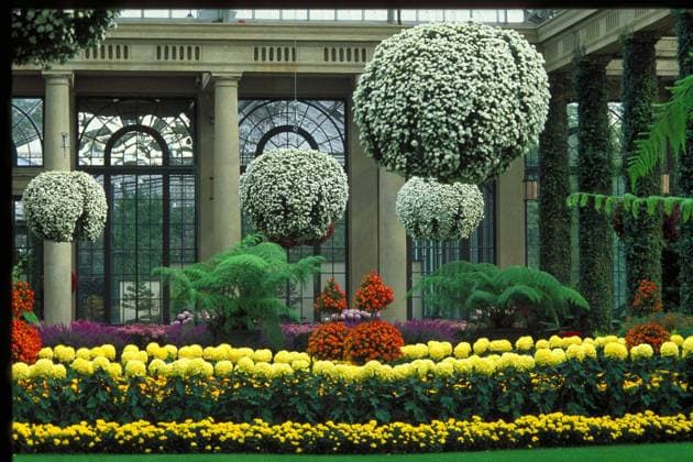 RECORD DATE NOT STATED Brandywine Valley Scenic Byway - Longwood Gardens Conservatory. Thousands of colorful chrysanthemums fill the Longwood Gardens Conservatory during the Chrysanthemum Festival. Location: Kennett Square, Pennsylvania, Delaware Copyright: xpiemagsx narecfedhiadpie27122022-5196 !ACHTUNG AUFNAHMEDATUM GESCHÄTZT!
