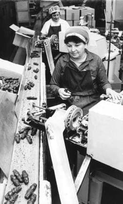 Sachsen, DDR, historisch, Wirtschaft, Volkswirtschaft, Volkseigene Betriebe (VEB): Süßwaren Süßigkeiten Schokolade: VEB Süßwarenfabrik Bergland, Niederoderwitz, Herstellung von Schokoladenhohlkörpern, vorn: Rosemarie Rutte, dahinter Elli Mönsch beim Stanniolieren (verpacken in Alufolie), 23.2.1982.Veröffentlichung in Sächsische Zeitung am 06.03.1982: Schon seit November des vergangenen Jahres ! ACHTUNG Aufnahmedatum laut Beschriftung Copyright: xSZ WaltrautxKossackx 0000010121863905