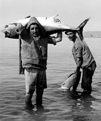 RECORD DATE NOT STATED Fishermen. pizzo calabro. Italy 1955 01 02 1955 972_05_W283080