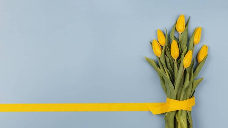 arrangement spring flowers with copy space. High quality beautiful photo concept arrangement spring flowers with copy space. Resolution and high quality beautiful photo Copyright: xZoonar.com OleksandrxLatkunx 18247504