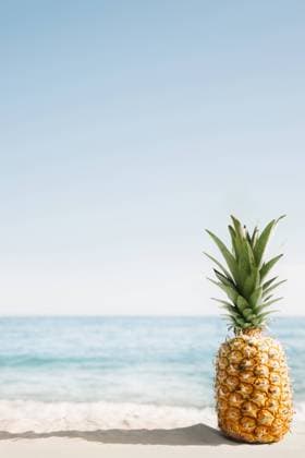 beach background with pineapple copyspace. High quality beautiful photo concept beach background with pineapple copyspace. Resolution and high quality beautiful photo Copyright: xZoonar.com OleksandrxLatkunx 18252962