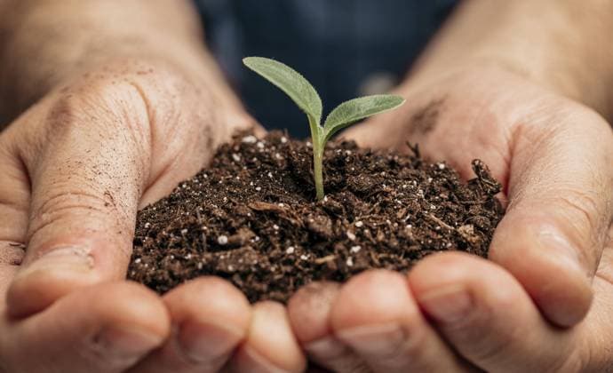 IMAGO Creative, Frühling, Start der Garten-Saison close up male hands holding soil little plant. High quality beautiful photo concept close up male hands holding soil little plant. Resolution and high quality beautiful photo Copyright: xZoonar.com OleksandrxLatkunx 18261222