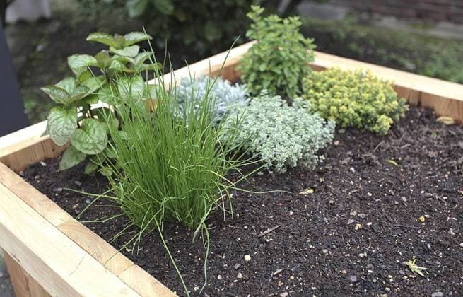 IMAGO Creative: Garten, Anbau im Hochbeet Rollstuhlgruppe bei der Hochbeet-Aktion der AWO in Gladbeck *** NUR FÜR REDAKTIONELLE ZWECKE *** EDITORIAL USE ONLY ***<p>Rollstuhlgruppe mit Luisa Otto, Lisa Brähler und Theresa Otto am Freitag, den 08. April 2022 bei der Hochbeet-Aktion der AWO in Gladbeck Foto : Frank Oppitz FUNKE Foto Services< p> Soziales Deutschland NRW Gladbeck Copyright: FrankxOppitz *** wheelchair group at the raised bed Action the AWO in Gladbeck *** ONLY FOR EDITORIAL PURPOSE *** EDITORIAL USE ONLY *** P wheelchair group with Luisa Otto, Lisa Brähler and Theresa Otto on Friday, the 08 April 2022 at the raised bed Action the AWO in Gladbeck Photo Frank Oppitz Funke Photo Services P Social Affairs Germany NRW Gladbeck Copyright FrankxOppitz Copyright: FrankxOppitz doc7kh6vjbonme4zxnyfyx EDITORIAL USE ONLY