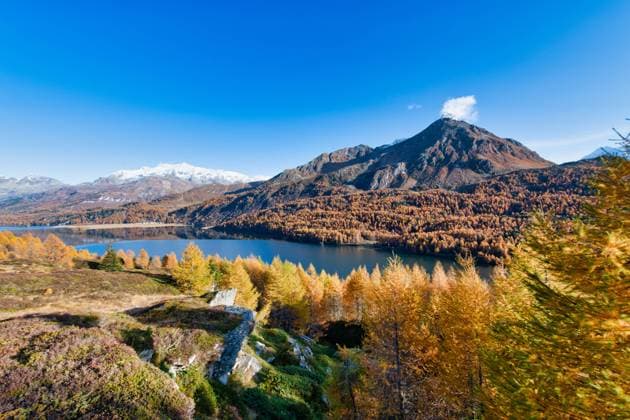 Creative Highlights World Typische Herbstlandschaft des Engadins in den Schweizer Alpen *** typical Autumn Landscape of Engadin in the Swiss Alps 1104301410