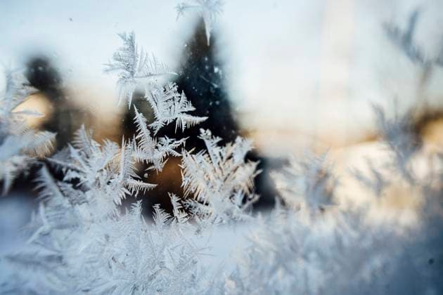 Frost Pattern on Window in Golden Light Saint Paul, Minnesota, United States R_MZGL230117F8-1109653-01