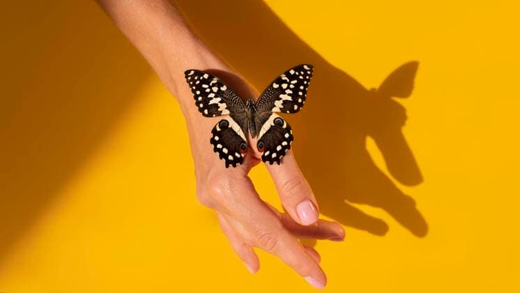 Creative Highlights Symbolbilder close up view butterfly hand close up view butterfly hand Copyright: xZoonar.com OleksandrxLatkunx 18390564