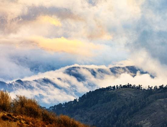 RECORD DATE NOT STATED Beautiful pictures of Bhutan , 35972158.jpg, Bhutan, Bhutantravel, Bhutantrip, Bhutanvacations, travel, traveldiary, traveldeeper, travellingthroughtheworld, travellers, travelph, travelersnotebook, travelmore, Nopeople, Travelgram, traveling, Travelphotography, travelling, travelblogger, traveler, traveller, travelingram, traveltheworld, travelblog, travels, traveladdict, travellife, travelphoto, travelpics, traveldiaries