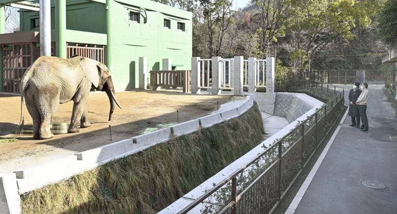 Bilder des Jahres 2023, Entertainment 01 Januar Entertainment Themen der Woche KW03 Entertainment Bilder des Tages Japanese crown prince visits zoo Japanese Crown Prince Fumihito (L) looks at an elephant at Asa Zoo in the western Japan city of Hiroshima on Jan. 20, 2023.  A14AA0001386534P