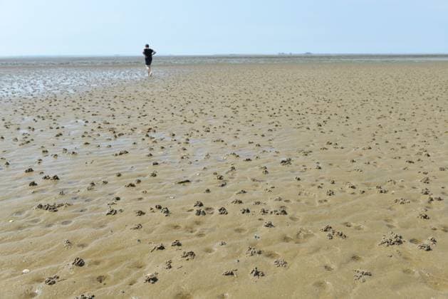 Frau macht Wattwanderung *** Woman makes mudflat hiking tour 1038804893 ,model released, Symbolfoto