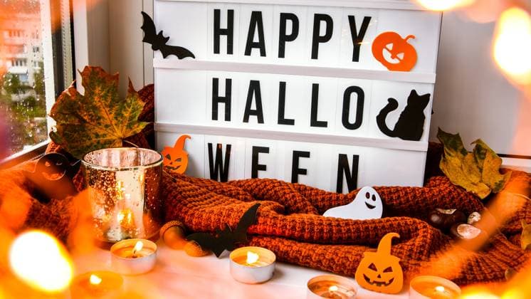 RECORD DATE NOT STATED HAPPY HALLOWEEN. Text in white light box, with a background of sweater, dried leaves halloween autumn decoration on the windowsill. Rainy window. Bokeh light. Ghost, pumpkins bat, black cat. , 38540628.jpg, halloween, windowsill, window, rain, decoration, concept, happy, lightbox, text, october, orange, holiday, party, pumpkin, scary, autumn, invitation, spooky, creepy, fall, silhouette, symbol, traditional, seasonal, decor, horror, homemade, handmade, fun, candle, light box, trendy, treat, card, modern, poster, ghost, mystery, craft, diy, bat, backdrop, sweater, trick or treat, tradition, composition, happy halloween, still life, black cat