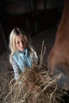 IMAGO Creative, Kinder auf dem Reiterhof Girl feeding hay to bay horse in stable model released, Symbolfoto property released, NJAF00096