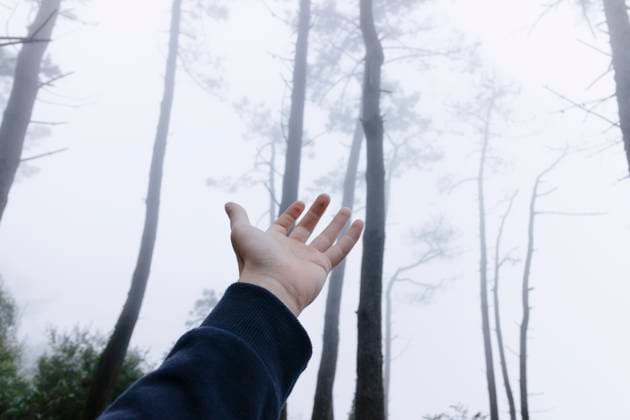 IMAGO Creative: Gesundheit, Stille Man rising hand in foggy forest model released, Symbolfoto, MMPF00624