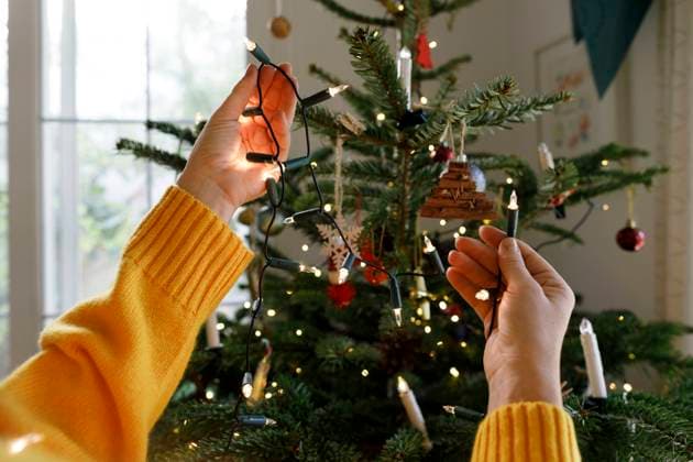 Hands of woman putting illuminated string lights on Christmas tree at home model released, Symbolfoto property released, TYF00643