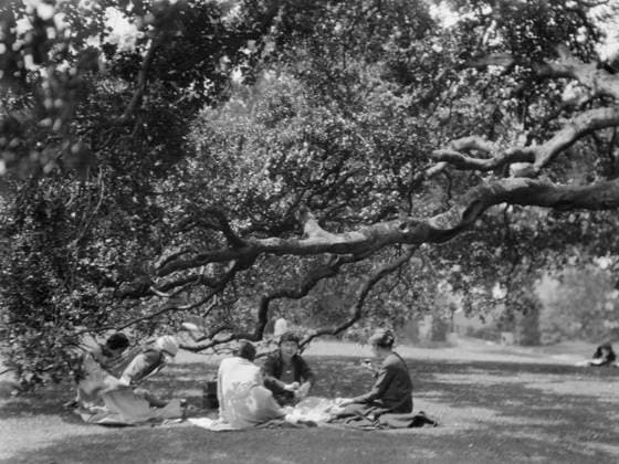 RECORD DATE NOT STATED University of California at Berkeley views, 1927 Creator: Arnold Genthe. Copyright:xHeritagexArt HeritagexImagesx IMAGO ,2944804 ! ACHTUNG: AUFNAHMEDATUM GESCHÄTZT!  Copyright:HeritagexArt HeritagexImagesx IMAGO