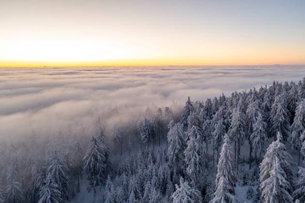 Creative Highlights World Sonnenaufgang über den Wolken Tief winterlich zeigt sich die Landschaft am Großen Feldberg im Taunus bei Sonnenaufgang. Der Gipfelbereich mit den verschneiten Bäumen mit Raureif ragte aus einer Hochnebeldecke., Schmitten Hessen Deutschland *** Sunrise above the clouds Deep wintry landscape at the Großer Feldberg in Taunus at sunrise The summit area with the snow-covered trees with hoarfrost rose from a blanket of high fog , Schmitten Hesse Germany