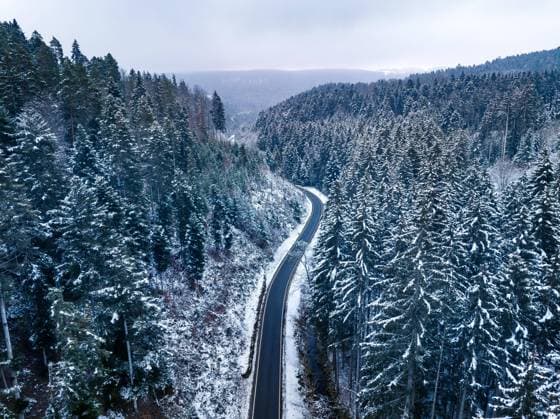  Straße durch den Wald im Schnee, Rotfelden, Schwarzwald, Deutschland, Europa *** Street through the Forest at Snow, Rotfelden, black forest, Germany, Europe Copyright: imageBROKER/ManuelxKamuf ibxmlk08979876.jpg