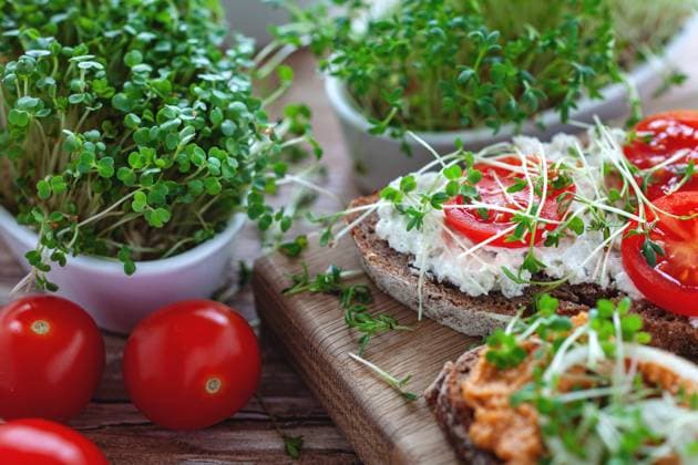 Microgreens - leckeres rustikales Roggenbrot mit pflanzlichen Aufstrichen, Tomate und frischen Microgreens auf hölzernem Tisch - Deutschland *** Microgreens delicious rustic rye bread with vegetable spreads, tomato and fresh microgreens on wooden table Germany