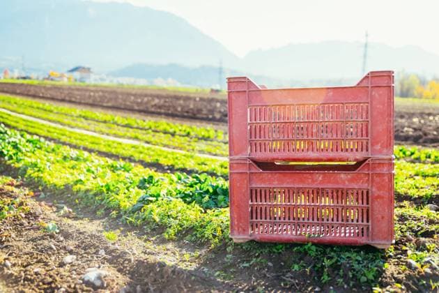 IMAGO Creative, Biodynamische Landwirtschaft RECORD DATE NOT STATED Red box for vegetables on a field, agriculture , 34953494.jpg, field, fertile, box, plant, agriculture, basket, monoculture, salat, monocropping, pure culture, plantation, culture, green, fresh, farming, farm, nutrient, husbandry, eco farming, biodynamic, industrial farming, beautiful, organic, organic farming, healthy, crop, soil, fertile soil, dung, manure, crop growing, fertiliser, cultivation farming, grass, ecosystem, pomace, industry, meadow, land, food industry, plant nutrient