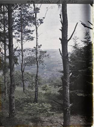 RECORD DATE NOT STATED Masevaux, Haut-Rhin, Alsace, France Panorama of Masevaux , 1917 - Alsace - Paul Castelnau (photographic section of the armies) - (June) (French - ï»¿Masevaux , Haut-Rhin , Alsace , France Panorama de Masevaux). Forest , Wood, Front, Agglomeration Panorama, First World War, Habitat , Architecture, France, Masevaux, Panorama de Masevaux Copyright: xpiemagsx AKahnlpie020223-13485 !ACHTUNG AUFNAHMEDATUM GESCHÄTZT!