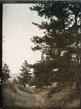 RECORD DATE NOT STATED Between Kiakhta and Ourga, TransbaÃ¯kalie a clearing in taiga , 1913 - Mongolia - StÃ phane Passet - (July 6-25) (French - ï»¿Entre Kiakhta et Ourga , TransbaÃ¯kalie Une clairiere dans la taÃ¯ga). Landscape, pine, western type architecture, rural architecture, Nature , Environment, Habitat , Architecture Copyright: xpiemagsx AKahnlpie020223-1674 !ACHTUNG AUFNAHMEDATUM GESCHÄTZT!