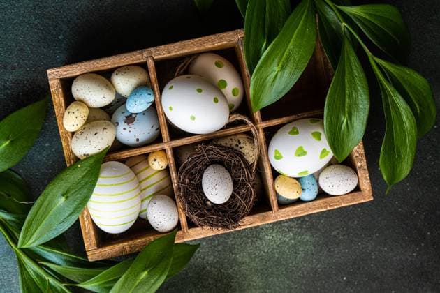 From above spring Easter wooden box with colored eggs and nest surrounded by italian Ruscus plant AnnaBogush_ID12663_384625_002 Copyright: xAnnaxBogushx Model Released