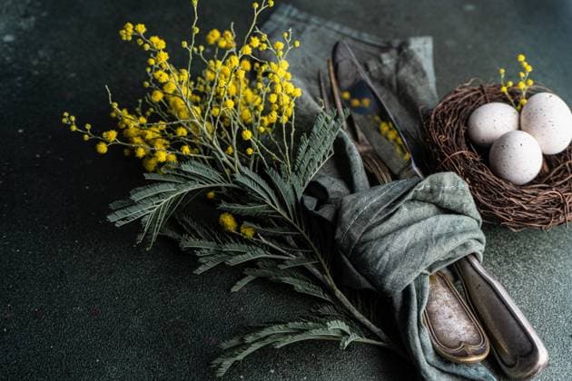 Festive table setting for Easter holiday dinner with bright yellow mimosa flowers on concrete table AnnaBogush_ID12753_387027_003 Copyright: xAnnaxBogushx Model Released