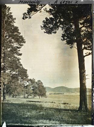 RECORD DATE NOT STATED Between Kiakhta and Ourga, TransbaÃ¯kalie, Mongolia L OrÃ e de la Taiga, the steppe with the mountains at the bottom , 1913 - Mongolia - StÃ phane Passet - (July 6-25) (French - ï»¿Entre Kiakhta et Ourga , TransbaÃ¯kalie , Mongolie L orÃ e de la taÃ¯ga , la steppe avec au fond les montagnes). Landscape, mont , mountain, pine, Nature , Environment Copyright: xpiemagsx AKahnlpie020223-1642 !ACHTUNG AUFNAHMEDATUM GESCHÄTZT!