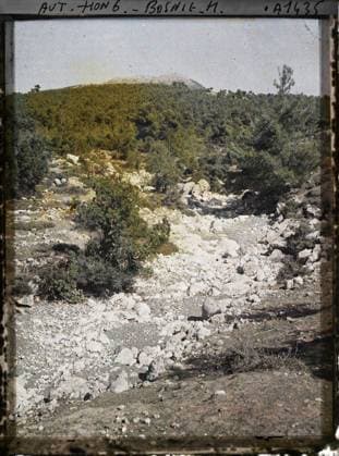RECORD DATE NOT STATED Surroundings of Banja Luka, Bosnia and Herzegovina Maquis , 1912 - Balkans, Italy - Jean Brunhes and Auguste LÃ on - (October 13 - 27) (French - ï»¿Environs de Banja Luka , Bosnie-HerzÃ govine Maquis). Mont , Mountain, Forest , Wood, Vegetation , Botanical, Nature , Environment, Bosnia, Banja Luka, Maquis Copyright: xpiemagsx AKahnlpie020223-6284 !ACHTUNG AUFNAHMEDATUM GESCHÄTZT!