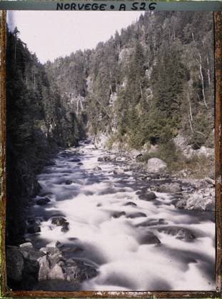RECORD DATE NOT STATED Roldal, Norway Torrent in the mountains , 1910 - Voyage of Albert Kahn and Auguste LÃ on in Scandinavia - (August 9 - September 14) (French - ï»¿Roldal , Norvege Torrent dans la montagne). Conifer, forest , wood, rivers, hydrography, throat, Nature , Environment, De KaukÃ li Ã arake (Roldal) Copyright: xpiemagsx AKahnlpie020223-15511 !ACHTUNG AUFNAHMEDATUM GESCHÄTZT!