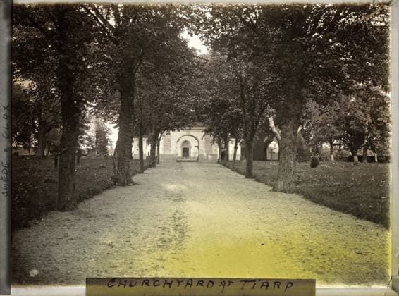 RECORD DATE NOT STATED Tierp, Sweden a cemetery (?) , 1910 - Voyage of Albert Kahn and Auguste LÃ on in Scandinavia - (August 9 - September 14) (French - ï»¿Tierp , Suede Un cimetiere ( ? )). Church, vegetation , botany, religious architecture, Nature , Environment, Habitat , Architecture, Churchyard at Tiarp Copyright: xpiemagsx AKahnlpie020223-3791 !ACHTUNG AUFNAHMEDATUM GESCHÄTZT!