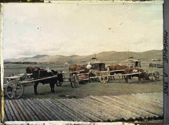RECORD DATE NOT STATED Ourga, Mongolia Caravan of oxen harnessed to rustic tanks , 1913 - Mongolia - StÃ phane Passet - (July 6-25) (French - ï»¿Ourga , Mongolie Caravane de boeufs attelÃ s Ã des chars rustiques). Animal transport, real animal, yurt, beef, hitch, cart, home, cattle, Transport , Animal , Habitat , Architecture, Mongolia, oxen caravan harnessed to rustic tanks Copyright: xpiemagsx AKahnlpie020223-1556 !ACHTUNG AUFNAHMEDATUM GESCHÄTZT!