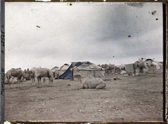 RECORD DATE NOT STATED Ourga, Mongolia the camels of a caravan , 1913 - Mongolia - StÃ phane Passet - (July 6-25) (French - ï»¿Ourga , Mongolie Les chameaux d une caravane). Animal transport, real animal, camel, yurt, nomad, tent, exists in high definition, caravan, camp, house, man, Transport, animal, HD, housing , architecture, human beings Copyright: xpiemagsx AKahnlpie020223-1669 !ACHTUNG AUFNAHMEDATUM GESCHÄTZT!