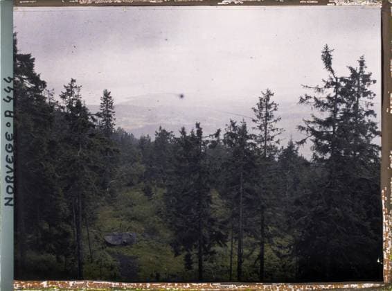 RECORD DATE NOT STATED Voksenkollen, Norway Forest and Panorama seen from the heights of Volksenkollen , 1910 - Voyage of Albert Kahn and Auguste LÃ on in Scandinavia - (August 9 - September 14) (French - ï»¿Voksenkollen , Norvege forÃªt et panorama vu depuis les hauteurs du Volksenkollen). Landscape, conifer, valley, vegetation , botany, Nature , Environment, Voxenkollen, view of Voxenkollen Copyright: xpiemagsx AKahnlpie020223-15949 !ACHTUNG AUFNAHMEDATUM GESCHÄTZT!