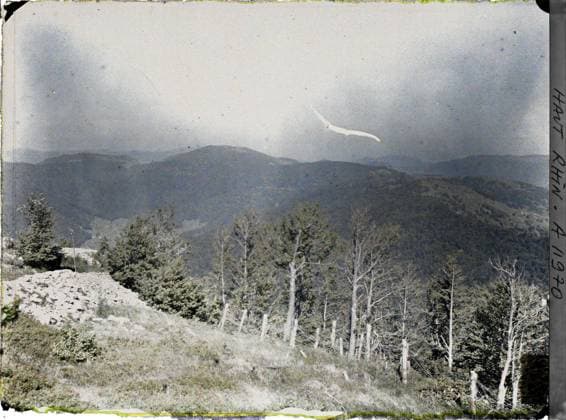 RECORD DATE NOT STATED Ballon of Alsace, Guebwiller, Haut-Rhin, Alsace, France Gresson, Ballon de Gebweiler, Rossberg defensive installations , 1917 - Alsace - Paul Castelnau (photographic section of the armies) - (June) (French - ï»¿Ballon d Alsace , Guebwiller , Haut-Rhin , Alsace , France Gresson , Ballon de Gebweiler , Rossberg installations dÃ fensives ). Mont , Mountain, border, front, barbed wire, First World War, France, Ballon d Alsace, Gresson, Gebweiler ball, Rossberg Copyright: xpiemagsx AKahnlpie020223-13507 !ACHTUNG AUFNAHMEDATUM GESCHÄTZT!