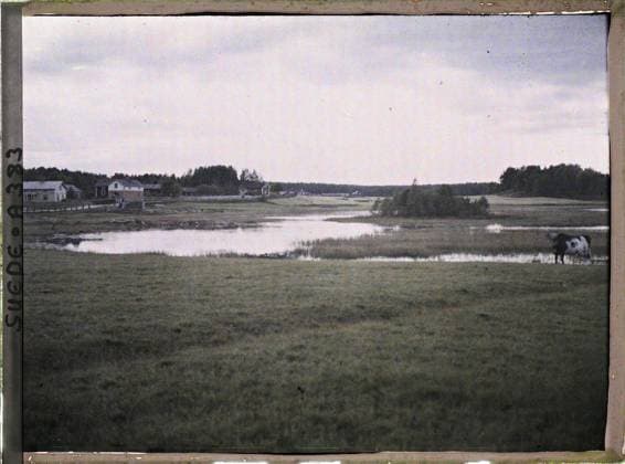 RECORD DATE NOT STATED Entre Gävle et Falun, Suede Petit Lac Pres de Ovansjö , 1910 - Voyage of Albert Kahn and Auguste LÃ on in Scandinavia - (August 9 - September 14) (French - ï»¿Entre Gävle et Falun , Suede Petit lac pres de Ovansjö). Landscape, real animal, cow, lake , pond, home, hydrography, livestock, Nature , Environment, Animal, Habitat , Architecture, Gefle road to Falun. Swamp Copyright: xpiemagsx AKahnlpie020223-5147 !ACHTUNG AUFNAHMEDATUM GESCHÄTZT!