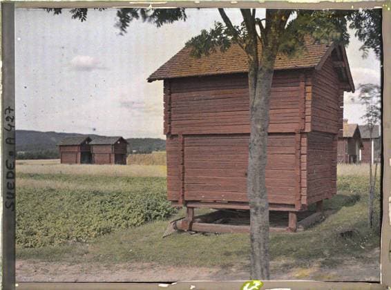 RECORD DATE NOT STATED Winf, Sweden agricultural fields and barns , 1910 - Voyage of Albert Kahn and Auguste LÃ on in Scandinavia - (August 9 - September 14) (French - ï»¿Gagnef , Suede Champs agricoles et granges). Agriculture , Breeding, Housing, Economic activity, Habitat , Architecture, From Leksand to Sala, provisions chalets Copyright: xpiemagsx AKahnlpie020223-5214 !ACHTUNG AUFNAHMEDATUM GESCHÄTZT!
