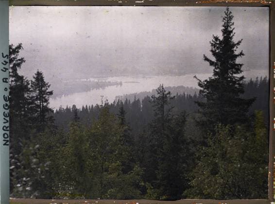 RECORD DATE NOT STATED Voksenkollen, Norway Le Fjord seen from Volksenkollen , 1910 - Voyage of Albert Kahn and Auguste LÃ on in Scandinavia - (August 9 - September 14) (French - ï»¿Voksenkollen , Norvege Le fjord vu depuis le Volksenkollen). Landscape, conifer, forest , wood, exists in high definition, hydrography, vegetation , botany, Nature , Environment, HD, Voxenkollen view Copyright: xpiemagsx AKahnlpie020223-15952 !ACHTUNG AUFNAHMEDATUM GESCHÄTZT!