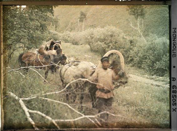 RECORD DATE NOT STATED Between Kiakhta and Ourga, TransbaÃ¯kalie, Mongolia the two cars and the coachmen of the crew of StÃ phane Passet , 1913 - Mongolia - StÃ phane Passet - (July 6-25) (French - ï»¿Entre Kiakhta et Ourga , TransbaÃ¯kalie , Mongolie Les deux voitures et les cochers de l Ã quipage de StÃ phane Passet). Animal transport, horse, landscape, real animal, costume, caravan, equidated, man, Transport, nature , environment, animal, clothing, human beings Copyright: xpiemagsx AKahnlpie020223-1648 !ACHTUNG AUFNAHMEDATUM GESCHÄTZT!