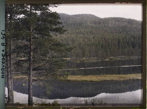 RECORD DATE NOT STATED From Kongsberg to Notodden, Norway Lac or Fjord , 1910 - Voyage of Albert Kahn and Auguste LÃ on in Scandinavia - (August 9 - September 14) (French - ï»¿De Kongsberg Ã Notodden , Norvege Lac ou fjord). Landscape, Mont , Mountain, Conifer, Forest , Wood, exists in high definition, lake , pond, vegetation , botany, Nature , Environment, HD, Route de Kongsberg Ã Notodden Copyright: xpiemagsx AKahnlpie020223-15958 !ACHTUNG AUFNAHMEDATUM GESCHÄTZT!