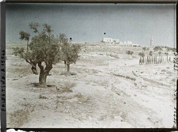 RECORD DATE NOT STATED Jerusalem, Palestine Bethpage , 1918 - Near East, Egypt, Palestine, Cyprus - Paul Castelnau (photographic section of the armies) - (January 9 -October 6) (French - ï»¿JÃ rusalem , Palestine Bethpage). Church, Christianity, Vegetation , Botanical, Olivier, Religious Architecture, Religion, nature , environment, housing , architecture, Palestine, Jerusalem, BethpagÃ Copyright: xpiemagsx AKahnlpie020223-314 !ACHTUNG AUFNAHMEDATUM GESCHÄTZT!